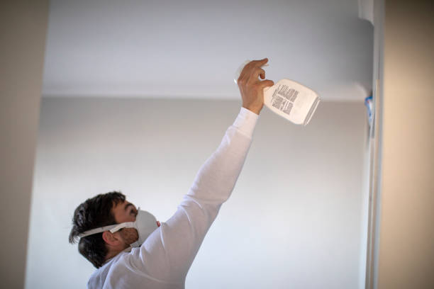 Best Commercial Mold Removal  in Rockton, IL