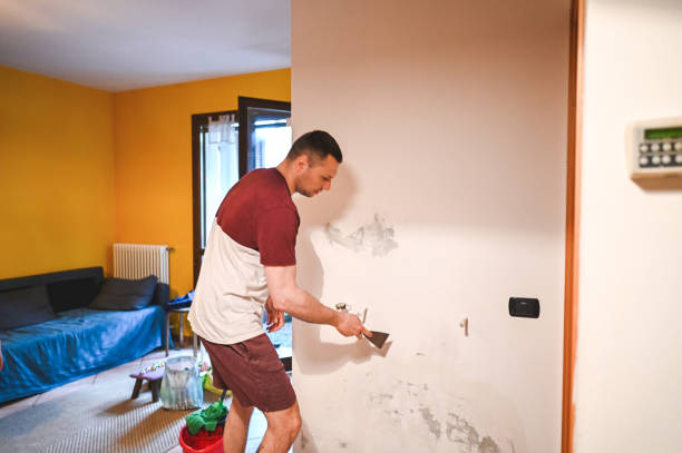 Best Professional Mold Removal  in Rockton, IL
